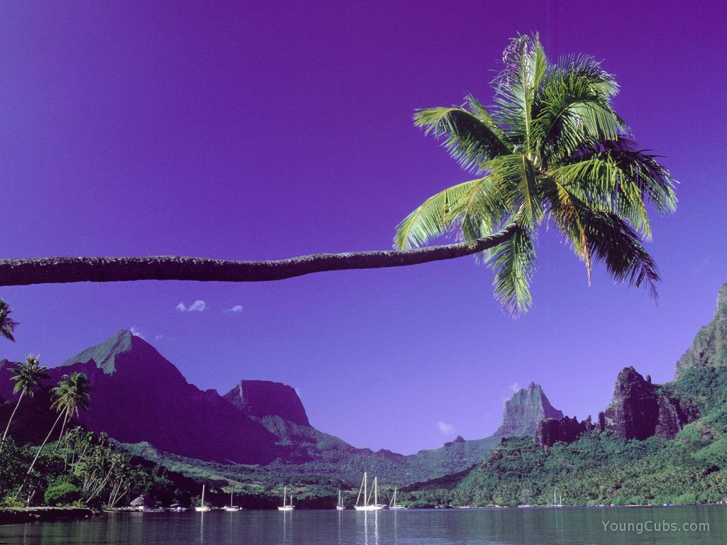 The Big Stretch, Tahiti